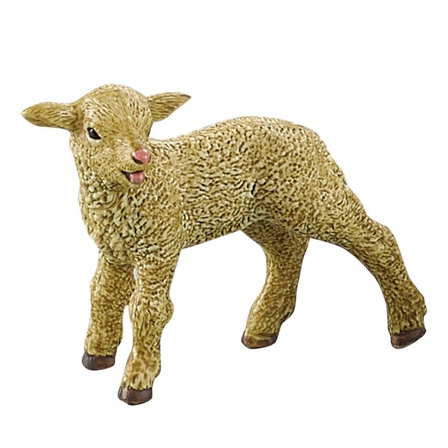 Pui Animale de Ferma foto 2